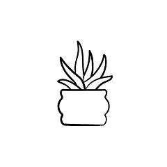 Image showing Sansevieria trifasciata hand drawn sketch icon.