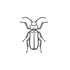 Image showing Beetle hand drawn sketch icon.