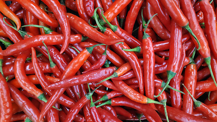 Image showing Group of red hot chilli peppers