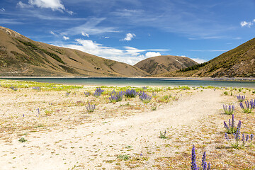 Image showing Landscape scenery in south New Zealand