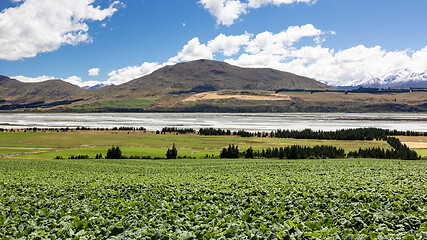 Image showing Mountain Alps scenery in south New Zealand