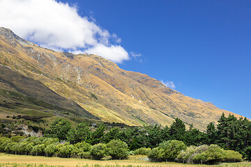 Image showing Landscape scenery in south New Zealand