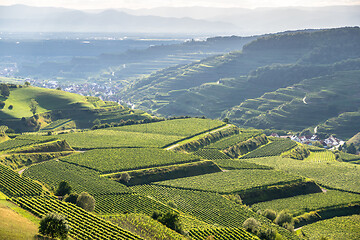 Image showing landscape scenery in Breisgau Germany