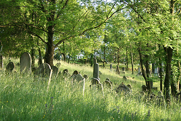 Image showing burial place