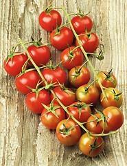 Image showing Branches of Cherry Tomatoes