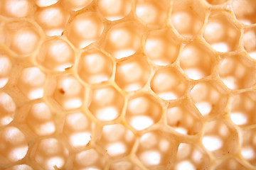 Image showing honey texture