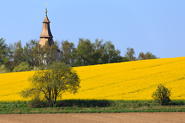 Image showing Yellow and green spring field in countryside