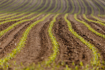 Image showing spring plowed field curves