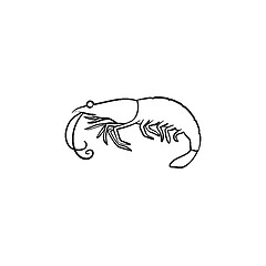 Image showing Shrimp hand drawn sketch icon.