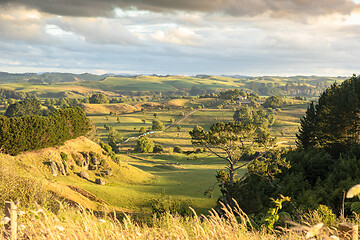 Image showing typical rural landscape in New Zealand