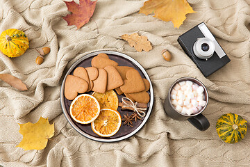 Image showing gingerbread, hot chocolate and camera in autumn