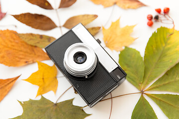 Image showing film camera and autumn leaves on white background