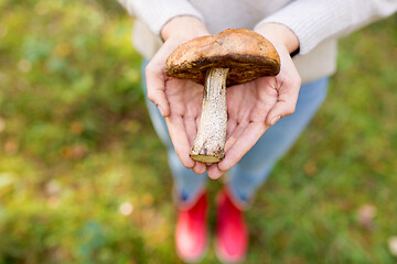 Image showing close up of woman hands holding mushroom in forest