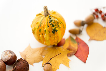 Image showing close up of pumpkin, acorns and autumn leaves