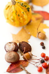 Image showing chestnuts, acorn, autumn leaves, berry and pumpkin