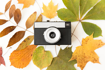 Image showing film camera and autumn leaves on white background