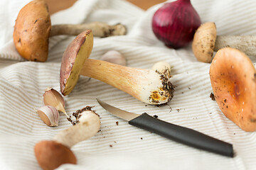 Image showing edible mushrooms, kitchen knife and towel