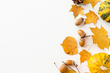 Image showing autumn leaves, chestnuts, acorns and pumpkins