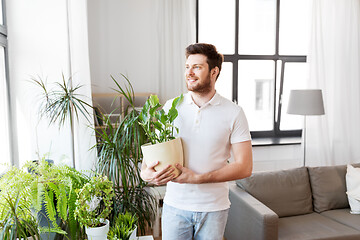 Image showing man with flower taking care of houseplants at home