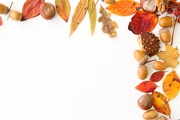 Image showing autumn leaves, chestnuts, acorns and berries frame