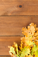 Image showing oak leaves in autumn colors on wooden table