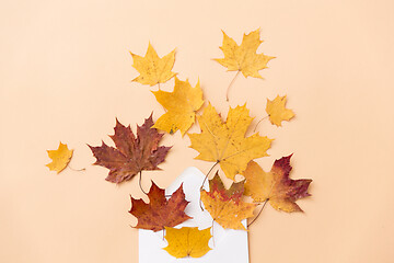 Image showing autumn maple leaves with envelope on beige