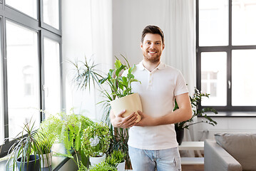 Image showing man with flower taking care of houseplants at home