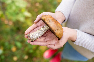 Image showing close up of woman hands holding mushroom in forest