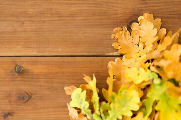 Image showing oak leaves in autumn colors on wooden table