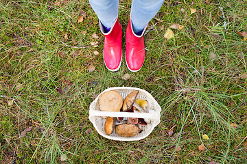 Image showing basket of mushrooms and feet in gumboots in forest