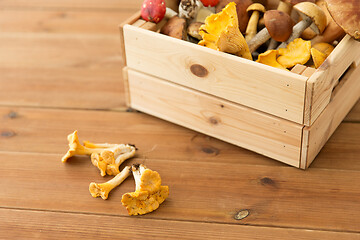 Image showing wooden box of different edible mushrooms