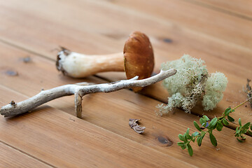 Image showing boletus mushrooms, moss, branch and bark on wood