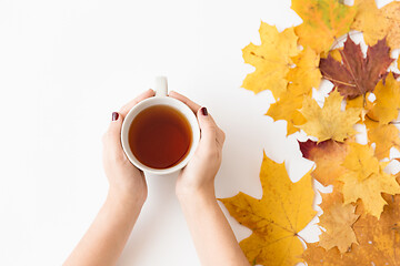 Image showing hands with cup of tea and autumn maple leaves