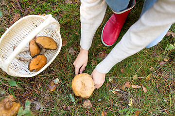 Image showing woman picking mushrooms in autumn forest