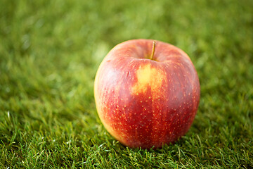 Image showing close up of ripe red apple on artificial grass