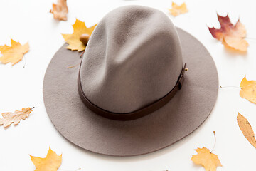 Image showing hat and fallen autumn leaves on white background