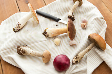 Image showing edible mushrooms, kitchen knife and towel