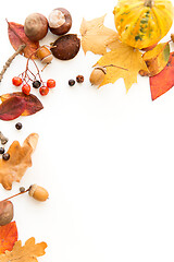 Image showing autumn leaves, chestnuts, acorns and berries frame