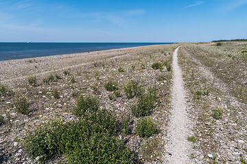 Image showing View over the nature reserve Neptuni Akrar in Sweden