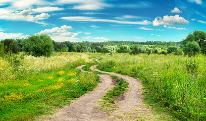 Image showing Country road in field