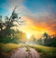 Image showing Road in forest