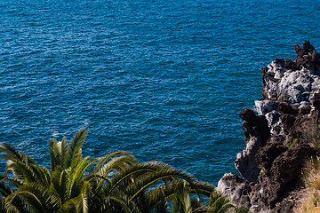 Image showing beautiful view on blue ocean water and palm tree