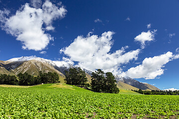 Image showing Mountain Alps scenery in south New Zealand