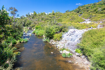 Image showing volcanic activities at waimangu