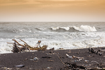 Image showing jade beach Hokitika, New Zealand