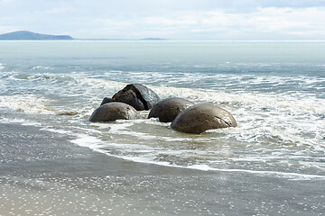 Image showing boulders at the beach of Moeraki New Zealand