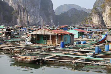 Image showing Floating village in Ha Long bay