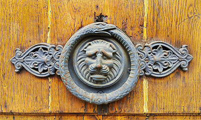 Image showing Vintage wooden texture with decorative lion head and snake ring 