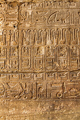Image showing Ancient Egyptian hieroglyphs, background, texture