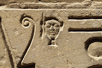 Image showing Detail of ancient egyptian hieroglyphs in the Karnak Temple